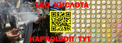 гидра Кандалакша