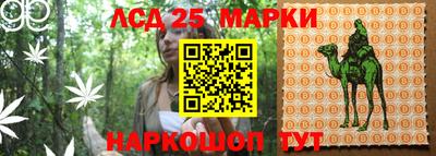гидра Камышлов