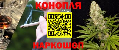гидра Кандалакша