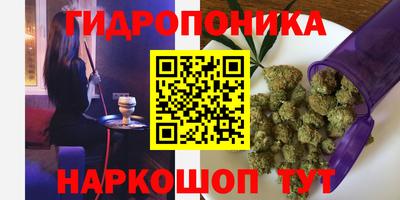 гидра Кандалакша