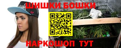 круглые Кингисепп