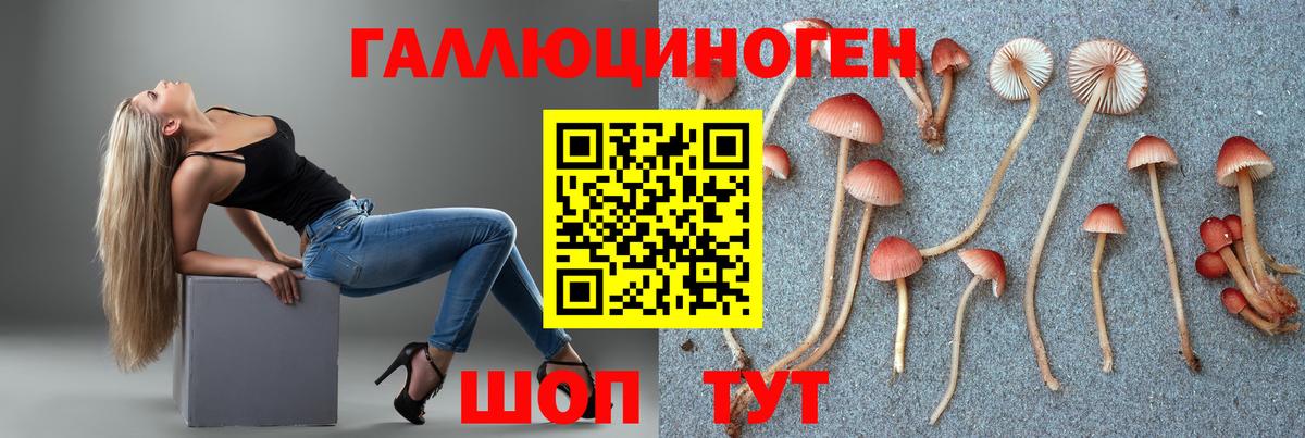 купить  сайты  Вход с VPN  Бутурлиновка  Галлюциногенные грибы GOLDEN TEACHER 